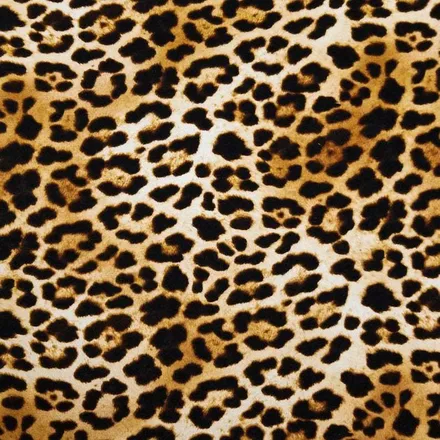 OnlyFans cuenta kittykat0120 header 2