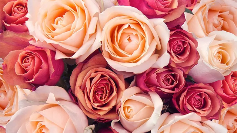 OnlyFans cuenta glamsfeets header 2