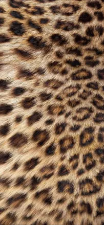 OnlyFans cuenta kimmara header 2