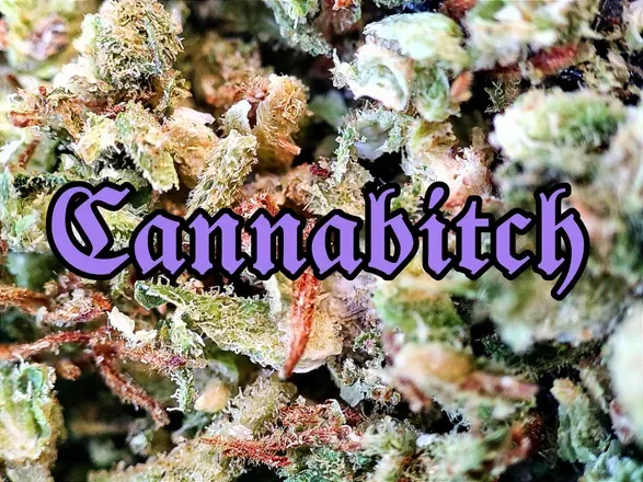 OnlyFans cuenta cannabitch420 header 2