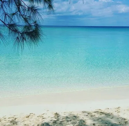 OnlyFans cuenta islandcat header 2