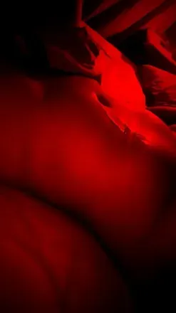 OnlyFans cuenta thebabbygirls avatar 1