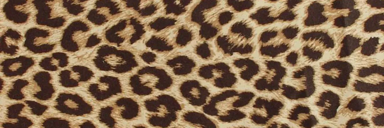 OnlyFans cuenta kyrab_08 header 2