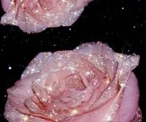 OnlyFans cuenta varmandarez header 2