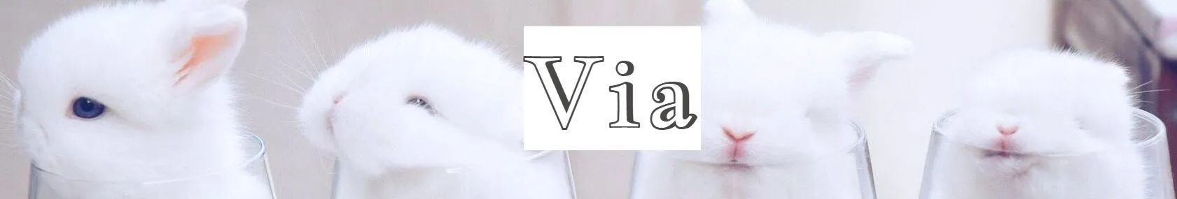 OnlyFans cuenta via_aiv header 2