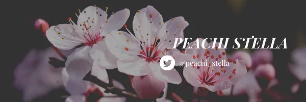 OnlyFans cuenta peachi_stella header 2