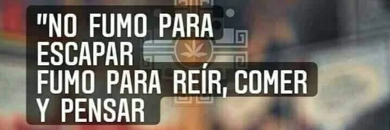OnlyFans cuenta brandolp06 header 2