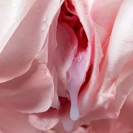OnlyFans cuenta taylorskyyxo header 2