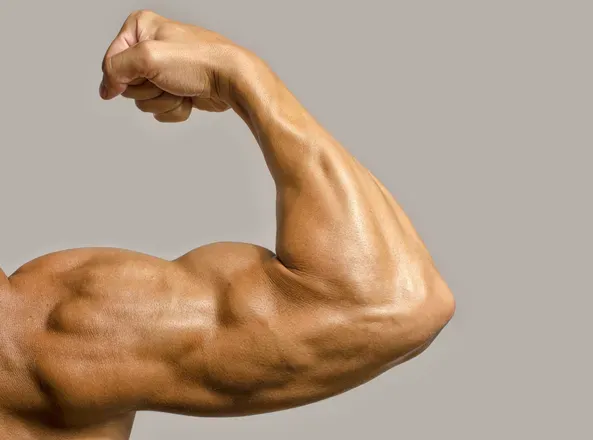 OnlyFans cuenta gayfitnessukfree header 2