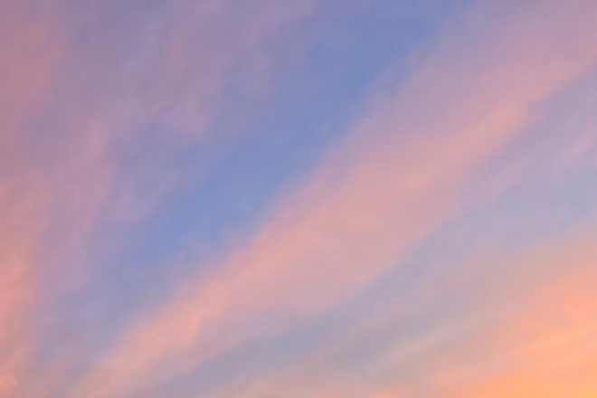OnlyFans account  ritasmind header 2