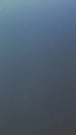 OnlyFans cuenta dreamuhme header 2