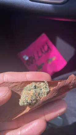 OnlyFans cuenta deepfriedshrooms header 2