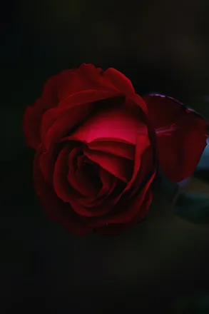 OnlyFans cuenta roguewitchery header 2