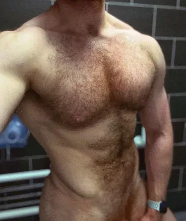 OnlyFans cuenta musclebullpup avatar 1