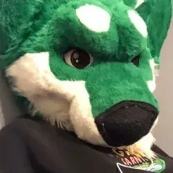 OnlyFans account  harlthehusky avatar 1