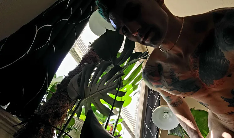 OnlyFans cuenta hawkhammer header 2