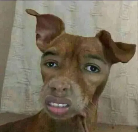 OnlyFans cuenta dmxbarking avatar 1