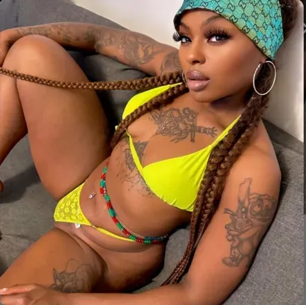 OnlyFans account  vixenplug avatar 1