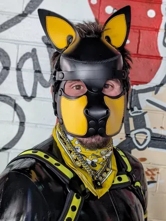 OnlyFans cuenta achillies_pup avatar 1