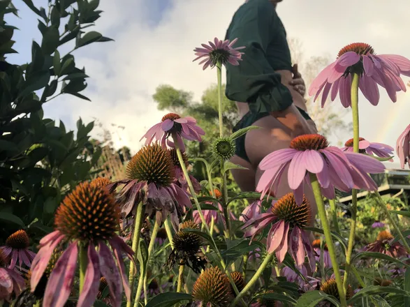 OnlyFans cuenta lavender_lovely header 2