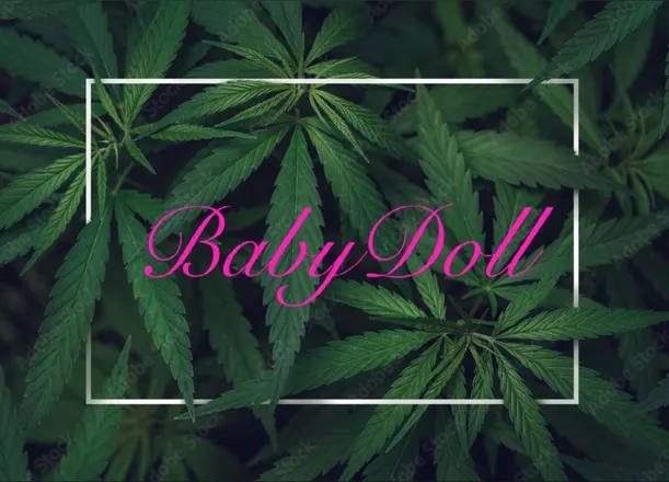 OnlyFans cuenta itsbabydollxx header 2