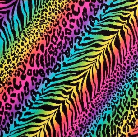 OnlyFans cuenta pinkfknmolly header 2