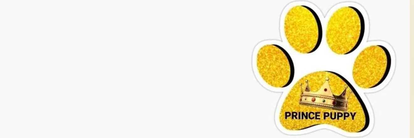 OnlyFans cuenta puppypoundsu header 2