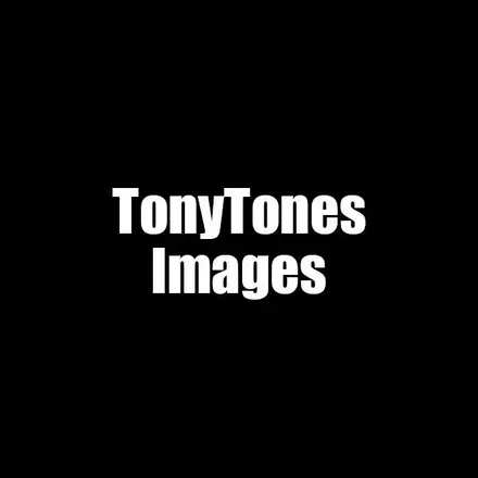 OnlyFans account  tonytones avatar 1