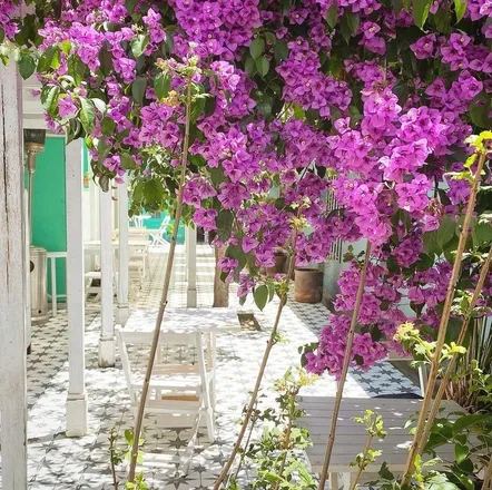OnlyFans cuenta ifeet4you header 2