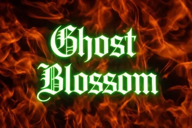 OnlyFans cuenta ghostblossom header 2