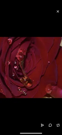 OnlyFans cuenta blossomhoney header 2