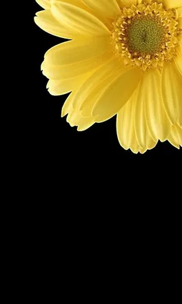 OnlyFans cuenta enchantress162 header 2