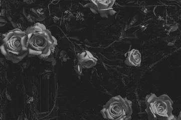 OnlyFans cuenta film.nymphette header 2