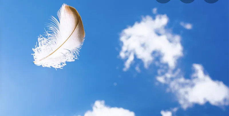 OnlyFans cuenta skigh header 2