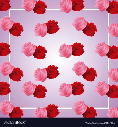 OnlyFans account  queenthiccx header 2