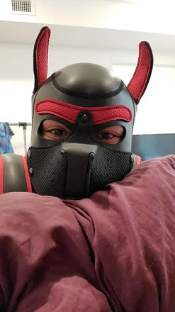 OnlyFans cuenta the_pup_apollo header 2