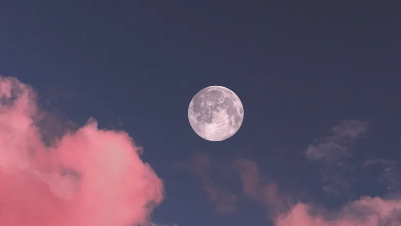 OnlyFans account  moonlightborne header 2