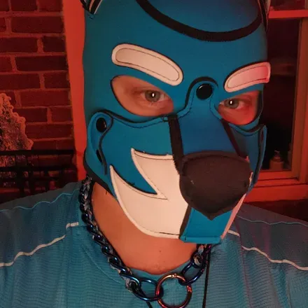 OnlyFans cuenta pup_wolfio avatar 1