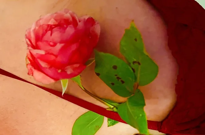 OnlyFans cuenta u188727930 header 2