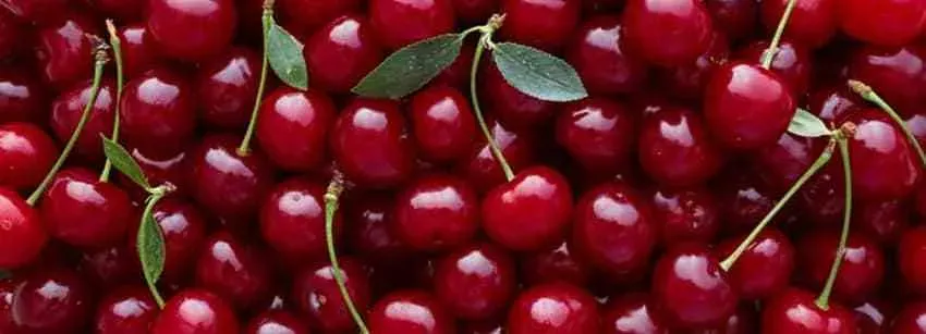 OnlyFans cuenta sweet_cherries69 header 2