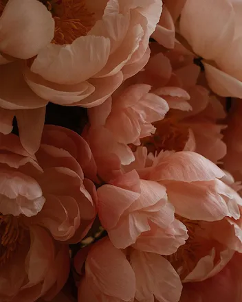 OnlyFans cuenta pchii_ header 2
