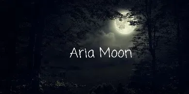 OnlyFans account  ariamoon header 2
