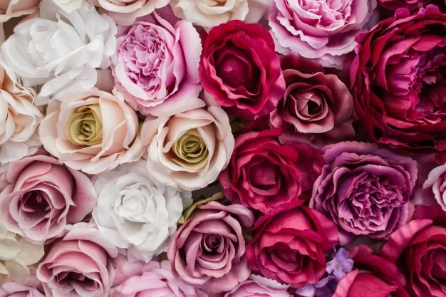 OnlyFans cuenta miaherb header 2