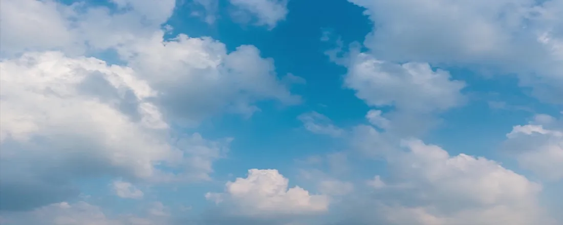 OnlyFans cuenta buns_bunni header 2