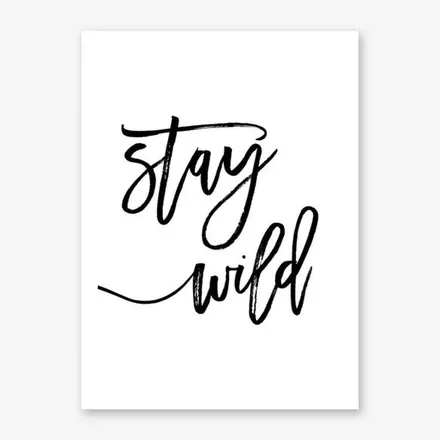 OnlyFans cuenta stayywildd header 2