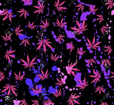 OnlyFans account  mariedean420 header 2