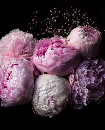 OnlyFans cuenta peonyblossom89 header 2