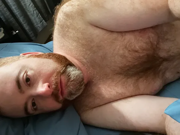 OnlyFans cuenta gingerbearchi header 2