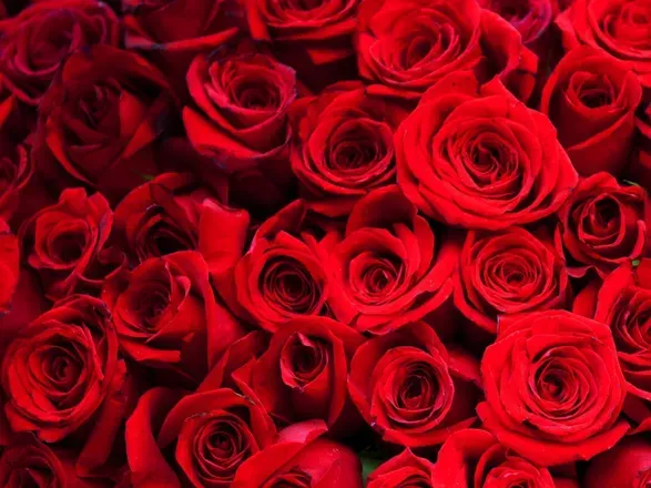OnlyFans cuenta marilyn_la_rose_ppv header 2