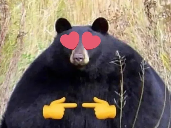 OnlyFans cuenta jawbreakerbear avatar 1